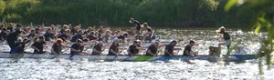 Auf einem Fluss sind drei Drachenboote zu sehen, die gegeneinander antreten