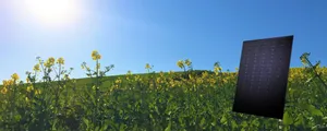 Ein Foto von einem Rapsfeld unter blauem Himmel mit einer Sonne sowie einem Solarmodul