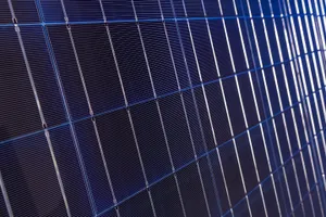 Photos of solar cells in a PV module.