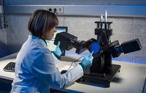 Wissenschaftlerin im Labor arbeitet mit einem optischen Messgerät.