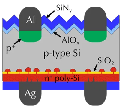 Schematische Darstellung einer POLO BJ-Zelle